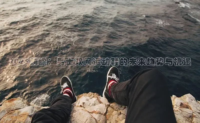 2025前瞻：男士双网运动鞋的未来趋势与机遇